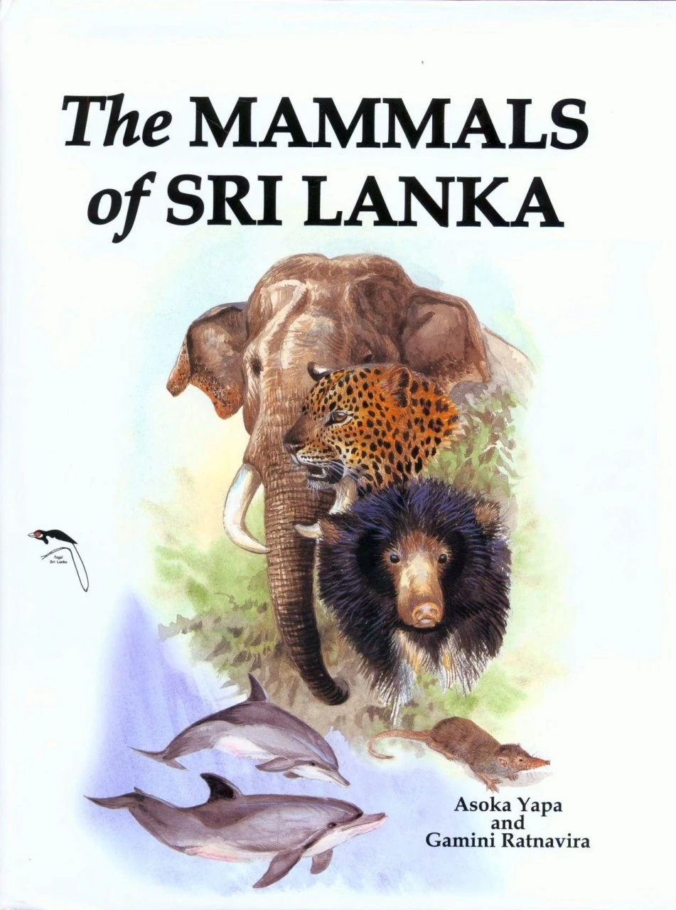 The Mammals Of Sri Lanka 3 The Mammals Of Sri Lanka