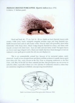 The Mammals Of Sri Lanka 19 The Mammals Of Sri Lanka -Wildlife Professional Books 212419 03