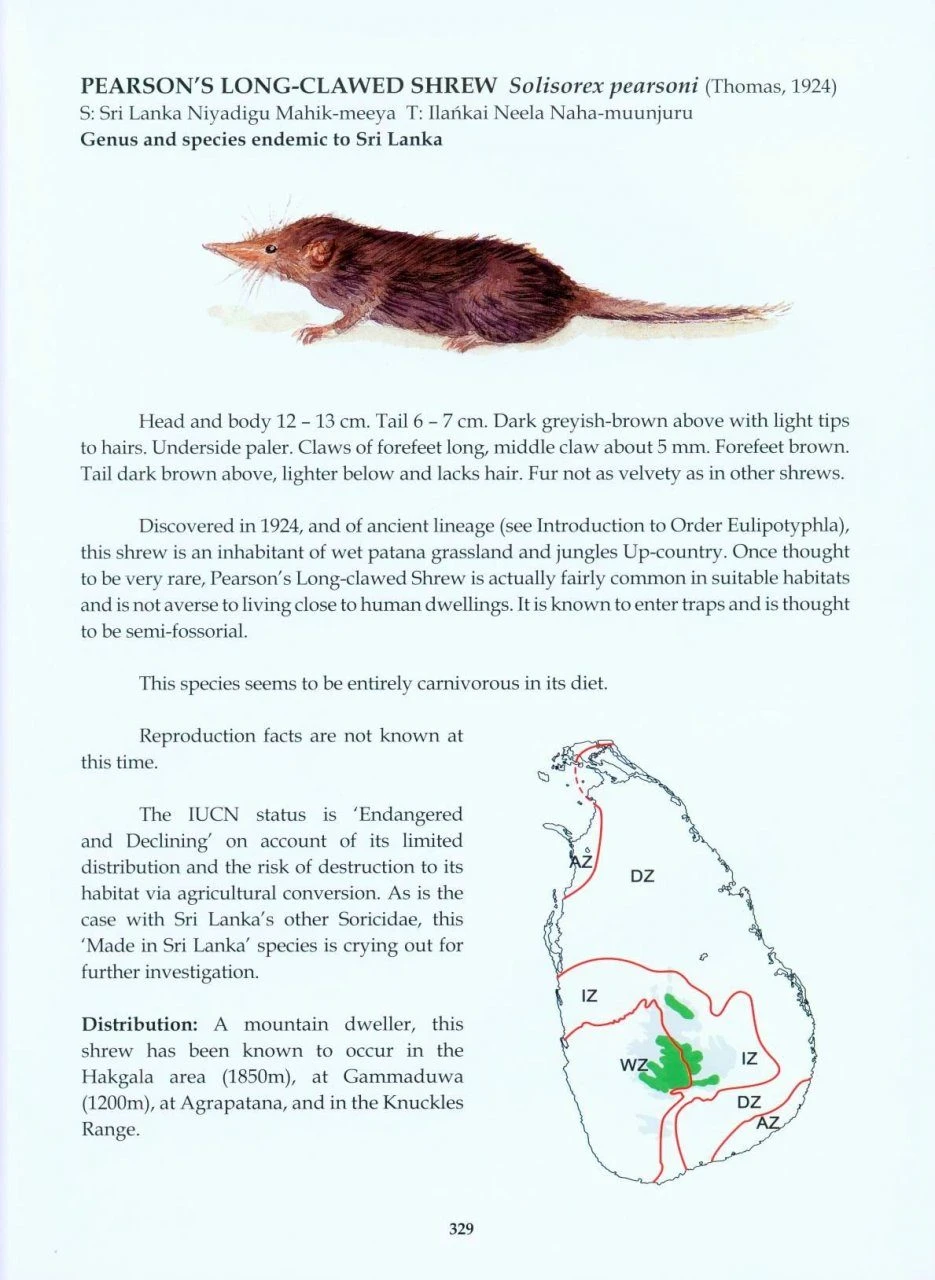 The Mammals Of Sri Lanka 7 The Mammals Of Sri Lanka - Image 5