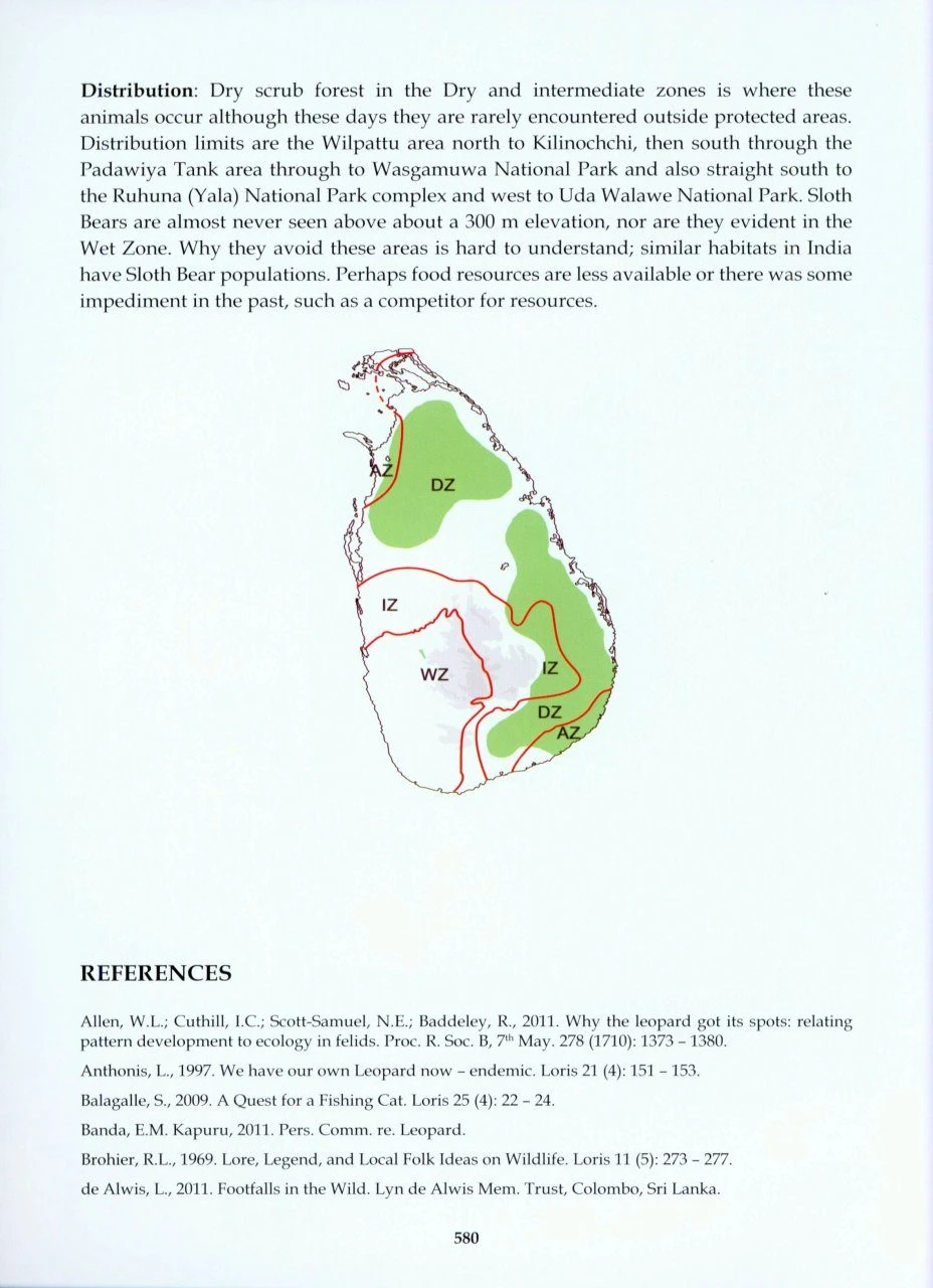 The Mammals Of Sri Lanka 9 The Mammals Of Sri Lanka - Image 7
