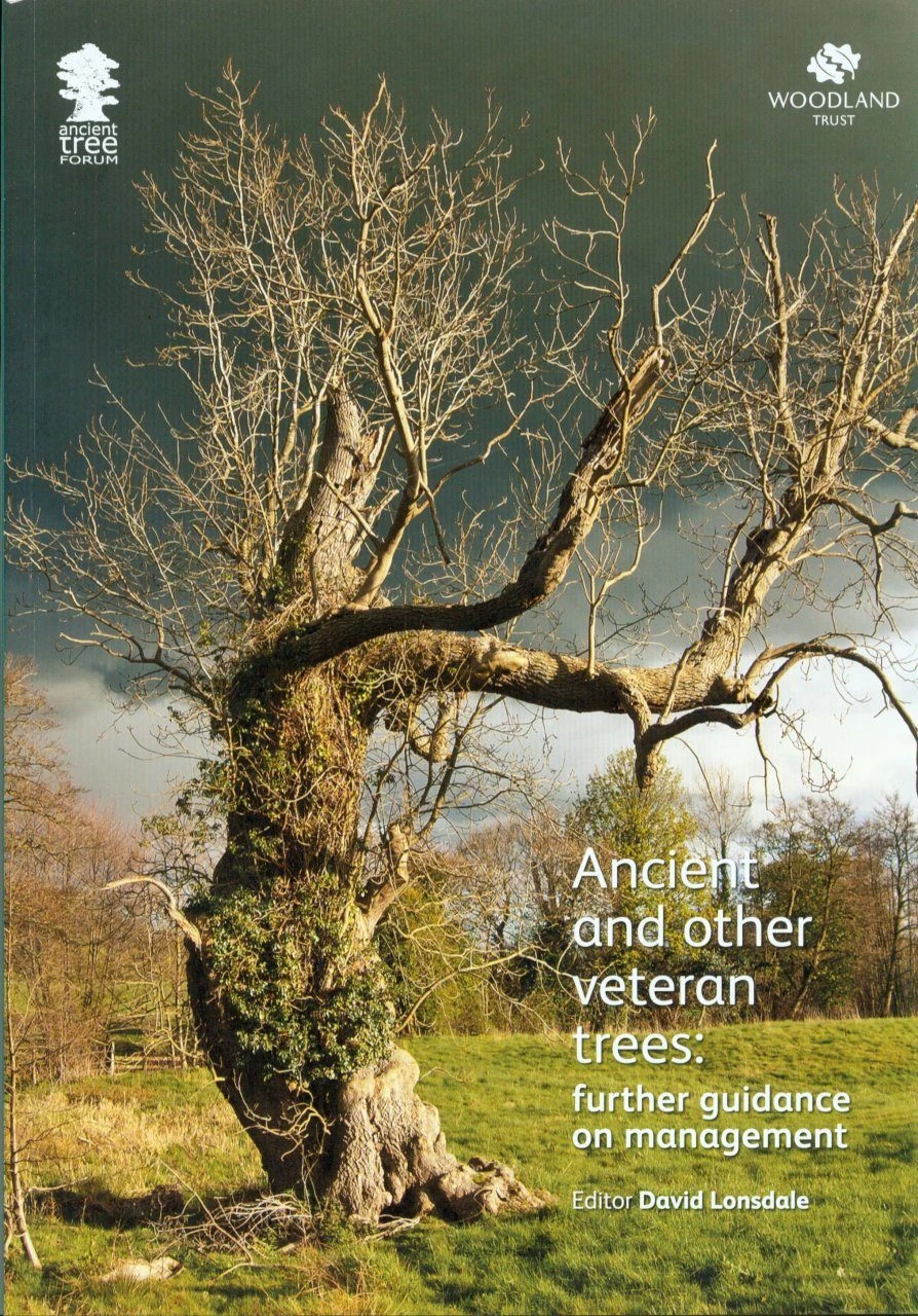 Ancient And Other Veteran Trees 3 Ancient And Other Veteran Trees