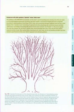Ancient And Other Veteran Trees 9 Ancient And Other Veteran Trees -Wildlife Professional Books 212797 2