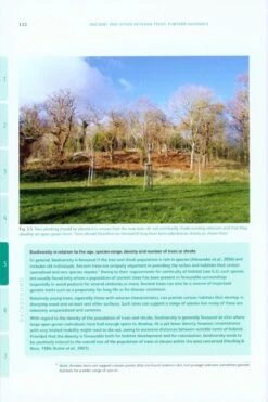 Ancient And Other Veteran Trees 10 Ancient And Other Veteran Trees -Wildlife Professional Books 212797 3