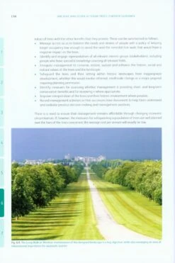 Ancient And Other Veteran Trees 11 Ancient And Other Veteran Trees -Wildlife Professional Books 212797 4