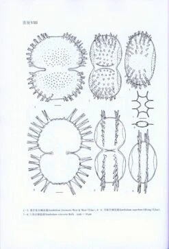 Flora Algarum Sinicarum Aquae Dulcis, Volume 18: Chlorophyta: Desmidiales Desmidiaceae Sectio III Xanthidium, Staurodesmus, Staurastrum, Filamentous Desmids [Chinese] -Wildlife Professional Books 212955 3