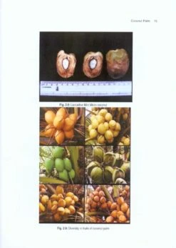 Palms 8 Palms -Wildlife Professional Books 213073 1