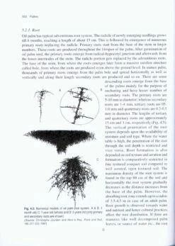 Palms 9 Palms -Wildlife Professional Books 213073 2