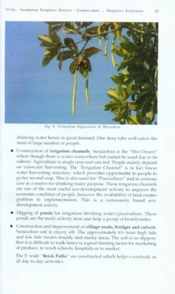 Mangroves Of India 8 Mangroves Of India -Wildlife Professional Books 213077 1