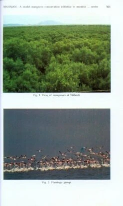 Mangroves Of India 11 Mangroves Of India -Wildlife Professional Books 213077 4