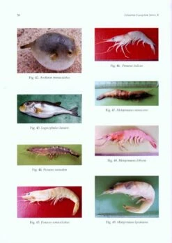 Ichthyofauna And Decapod Crustacean Fauna Of Nuanai Estuary, Odisha 7 Ichthyofauna And Decapod Crustacean Fauna Of Nuanai Estuary, Odisha -Wildlife Professional Books 213158 2