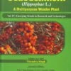 Seabuckthorn (Hippophae L.): A Multipurpose Wonder Plant, Volume 4: Emerging Trends In Research And Technologies 2 Seabuckthorn (Hippophae L.): A Multipurpose Wonder Plant, Volume 4: Emerging Trends In Research And Technologies -Wildlife Professional Books 213163