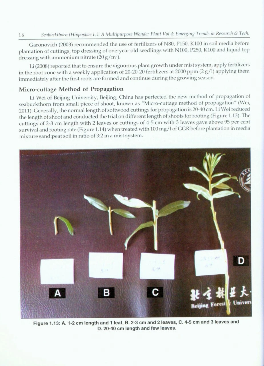 Seabuckthorn (Hippophae L.): A Multipurpose Wonder Plant, Volume 4: Emerging Trends In Research And Technologies 4 Seabuckthorn (Hippophae L.): A Multipurpose Wonder Plant, Volume 4: Emerging Trends In Research And Technologies - Image 2