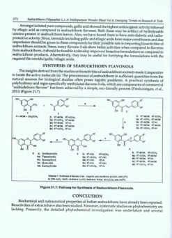 Seabuckthorn (Hippophae L.): A Multipurpose Wonder Plant, Volume 4: Emerging Trends In Research And Technologies 9 Seabuckthorn (Hippophae L.): A Multipurpose Wonder Plant, Volume 4: Emerging Trends In Research And Technologies -Wildlife Professional Books 213163 2