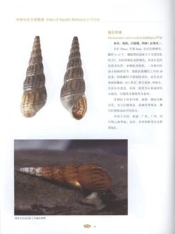 Atlas Of Aquatic Molluscs In China [Chinese] -Wildlife Professional Books 213227 1