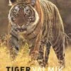 Tiger Fire 1 Tiger Fire -Wildlife Professional Books 213591