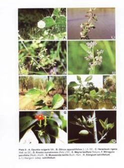 Flora Of Rajiv Gandhi National Park, Karnataka 8 Flora Of Rajiv Gandhi National Park, Karnataka -Wildlife Professional Books 213626 1