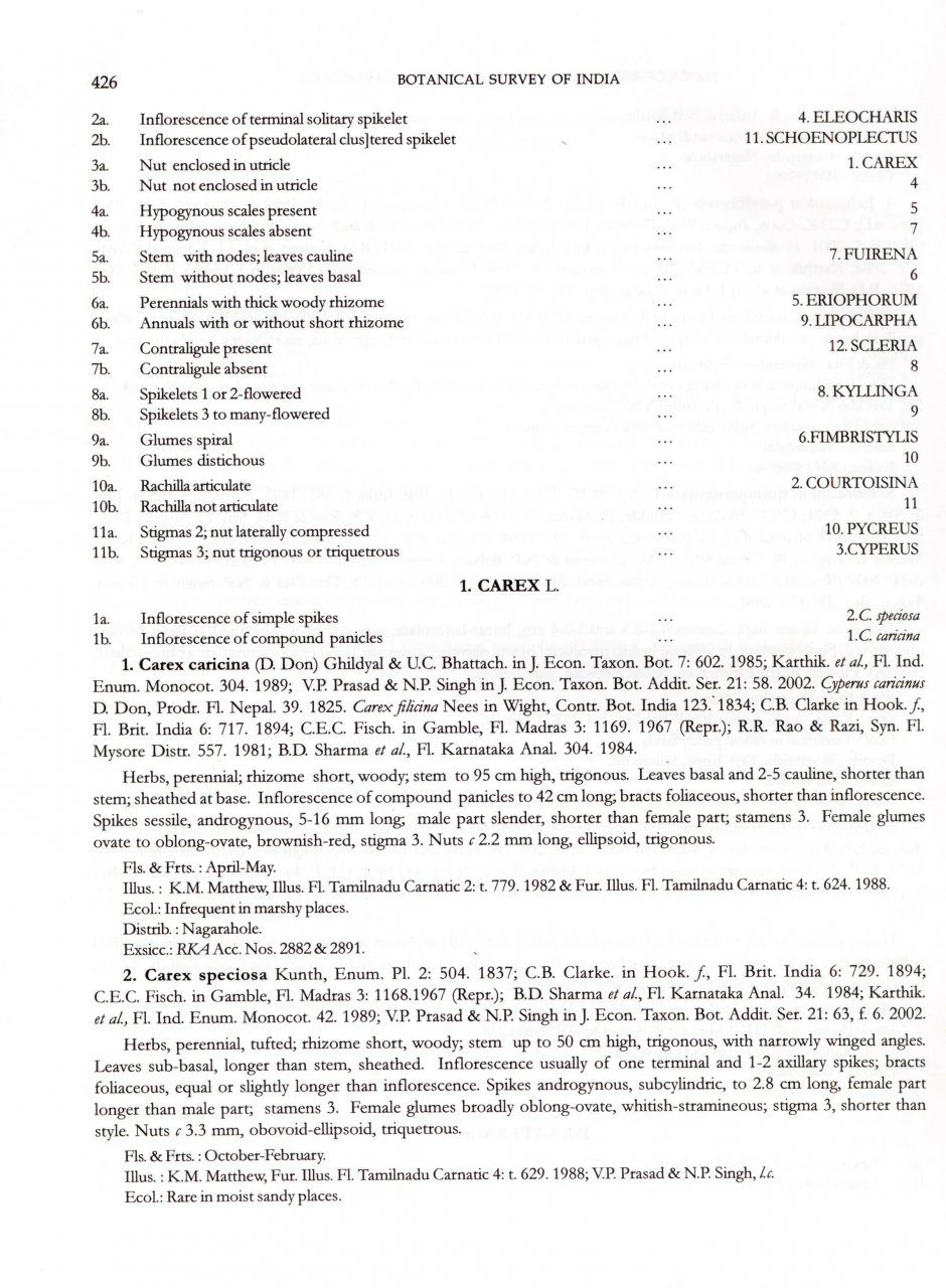 Flora Of Rajiv Gandhi National Park, Karnataka 7 Flora Of Rajiv Gandhi National Park, Karnataka - Image 5