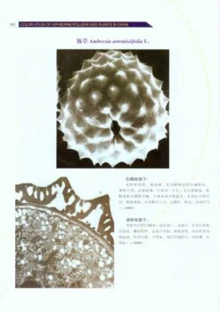 Color Atlas Of Air-Borne Pollens And Plants In China [Chinese] -Wildlife Professional Books 213718 4