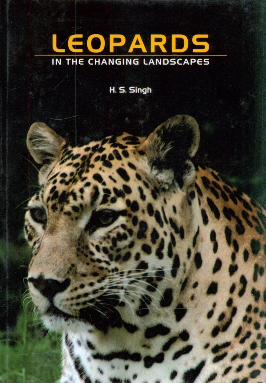 Leopards In The Changing Landscapes 3 Leopards In The Changing Landscapes