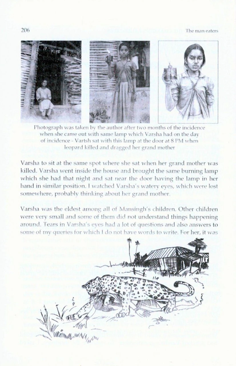 Leopards In The Changing Landscapes 6 Leopards In The Changing Landscapes - Image 4