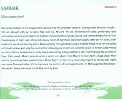 The Wild Mammals Of Maharashtra 9 The Wild Mammals Of Maharashtra -Wildlife Professional Books 214799 2