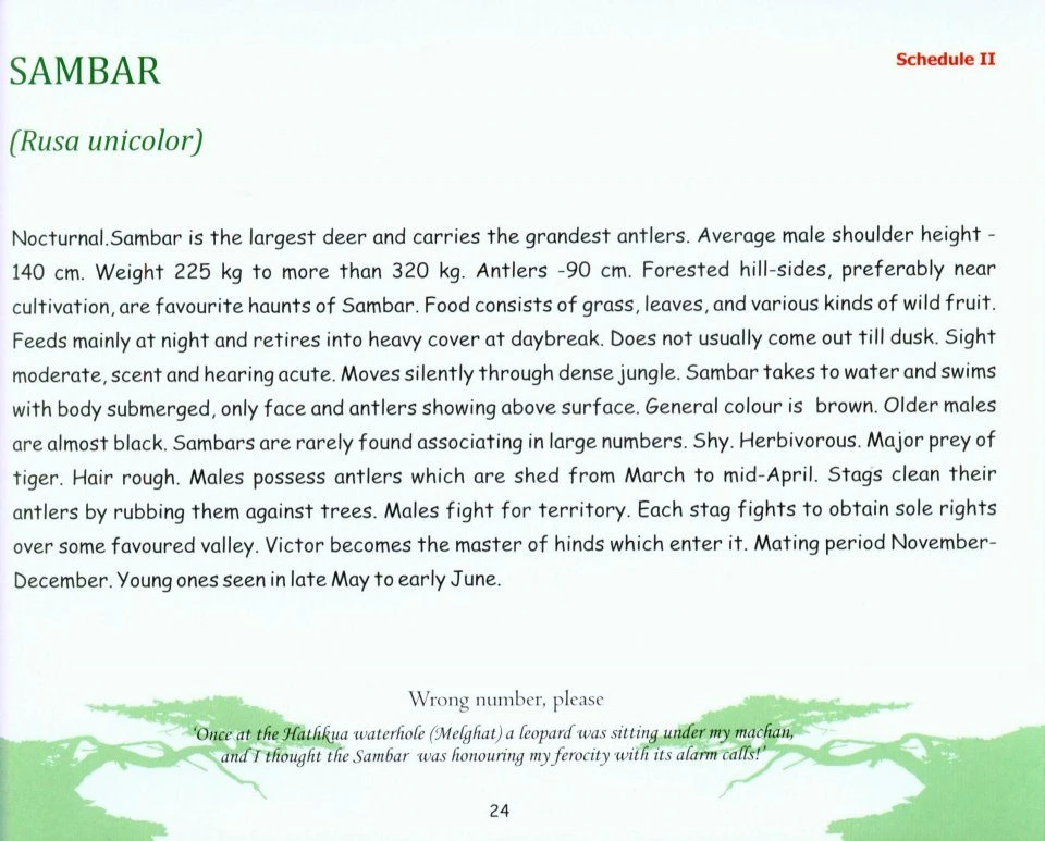 The Wild Mammals Of Maharashtra 5 The Wild Mammals Of Maharashtra - Image 3