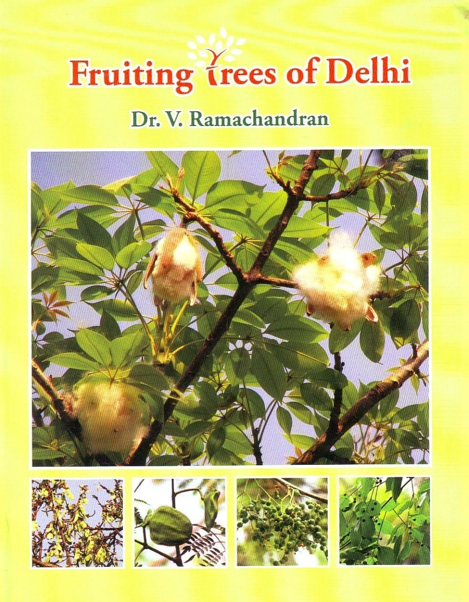 Fruiting Trees Of Delhi 3 Fruiting Trees Of Delhi