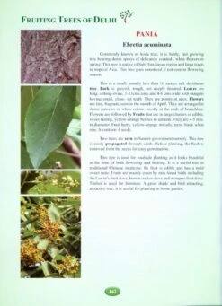 Fruiting Trees Of Delhi 10 Fruiting Trees Of Delhi -Wildlife Professional Books 214841 3