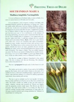 Fruiting Trees Of Delhi 11 Fruiting Trees Of Delhi -Wildlife Professional Books 214841 4