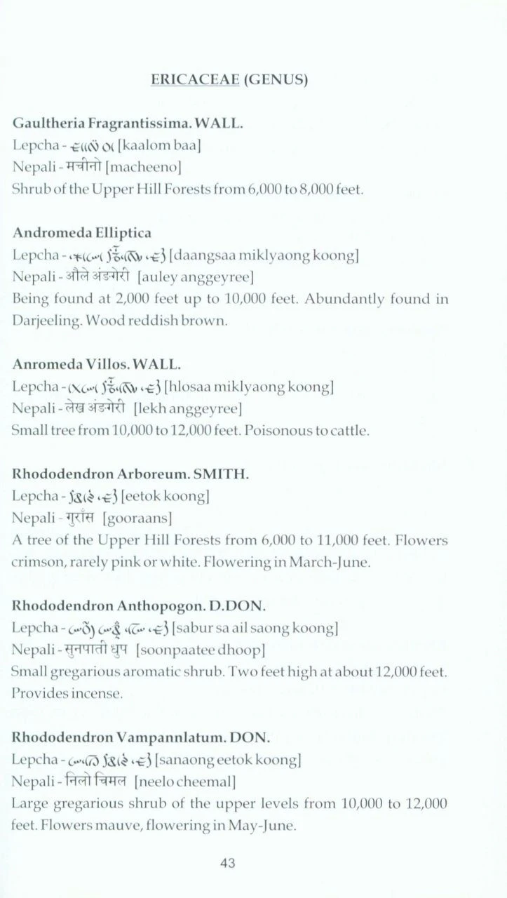 Trees, Shrubs And Large Climbers Found In The Darjeeling District, West Bengal And Sikkim 4 Trees, Shrubs And Large Climbers Found In The Darjeeling District, West Bengal And Sikkim - Image 2