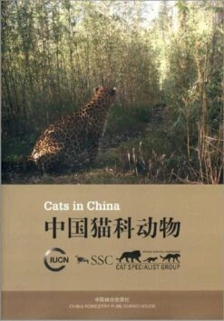 Cats In China [English / Chinese]