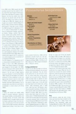 Cats In China [English / Chinese] -Wildlife Professional Books 215651 3