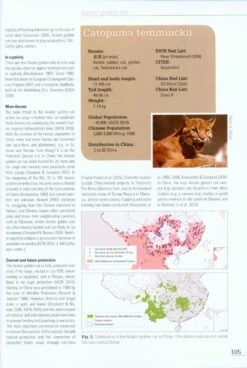 Cats In China [English / Chinese] -Wildlife Professional Books 215651 4