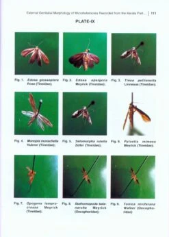 Forest Entomology 10 Forest Entomology -Wildlife Professional Books 215749 3