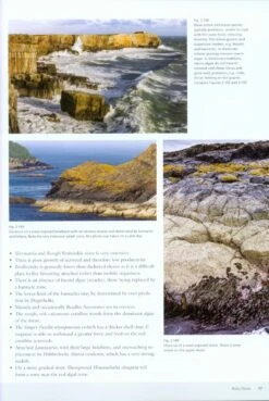 Seashores 13 Seashores -Wildlife Professional Books 215948 3