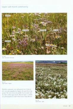 Seashores 15 Seashores -Wildlife Professional Books 215948 5