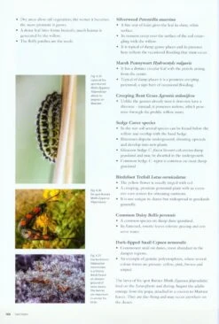 Seashores 16 Seashores -Wildlife Professional Books 215948 6