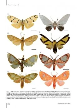 Catalogue Of The Neotropical Arctiini Leach, [1815] -Wildlife Professional Books 215984 2