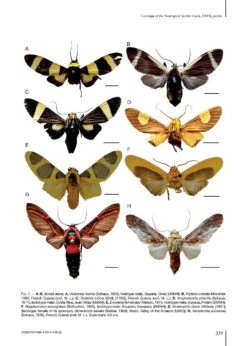 Catalogue Of The Neotropical Arctiini Leach, [1815] -Wildlife Professional Books 215984 3