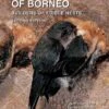 Swiftlets Of Borneo 2 Swiftlets Of Borneo -Wildlife Professional Books 216245