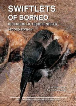Swiftlets Of Borneo
