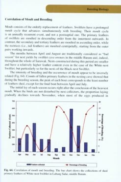 Swiftlets Of Borneo 9 Swiftlets Of Borneo -Wildlife Professional Books 216245 2