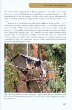 Swiftlets Of Borneo 11 Swiftlets Of Borneo -Wildlife Professional Books 216245 4