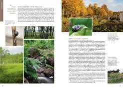 Suomen Kotilot Ja Etanat [Snails And Slugs Of Finland] -Wildlife Professional Books 216537 2