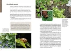 Suomen Kotilot Ja Etanat [Snails And Slugs Of Finland] -Wildlife Professional Books 216537 3