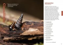 Suomen Kotilot Ja Etanat [Snails And Slugs Of Finland] -Wildlife Professional Books 216537 6