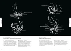 Suomen Kotilot Ja Etanat [Snails And Slugs Of Finland] -Wildlife Professional Books 216537 8