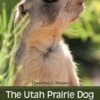 The Utah Prairie Dog 2 The Utah Prairie Dog -Wildlife Professional Books 216659