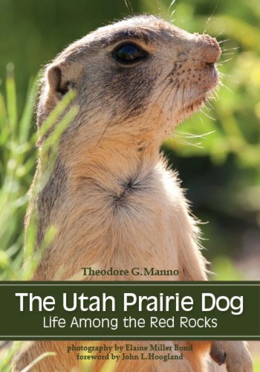 The Utah Prairie Dog 3 The Utah Prairie Dog