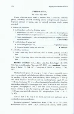 Bryophytes Of Andhra Pradesh 9 Bryophytes Of Andhra Pradesh -Wildlife Professional Books 216998 2